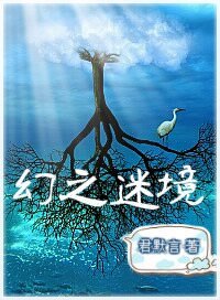 幻之迷境