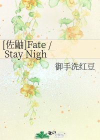 [佐鼬]Fate / Stay Night