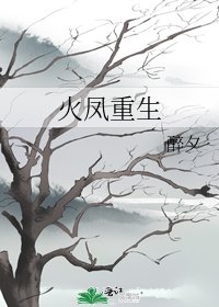 火凤重生