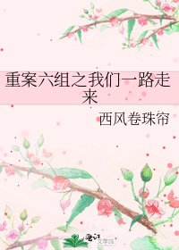 重案六组之我们一路走来