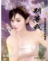 别等我(菩提树下的精灵)